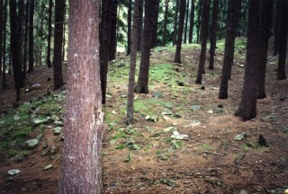 val mezi Radouskm lomem a Skalkou